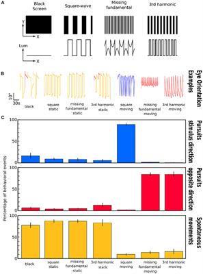 Fourier Motion Processing in the Optic Tectum and Pretectum of the Zebrafish Larva